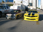 2010 11-05 Bumble Bee (12)
